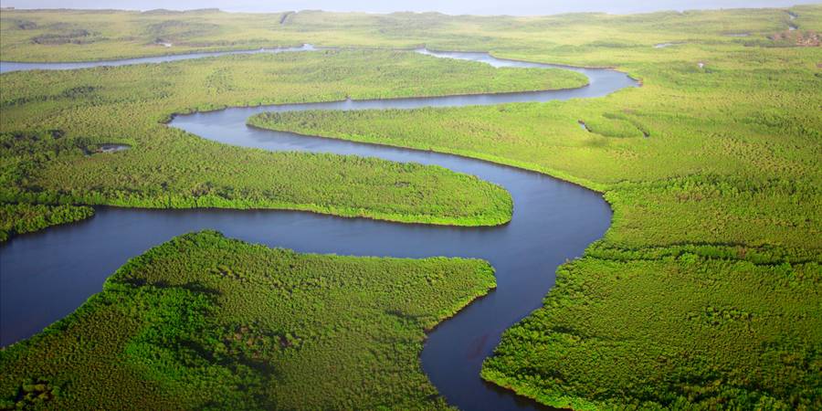 Trova la migliore eSIM per il Gambia