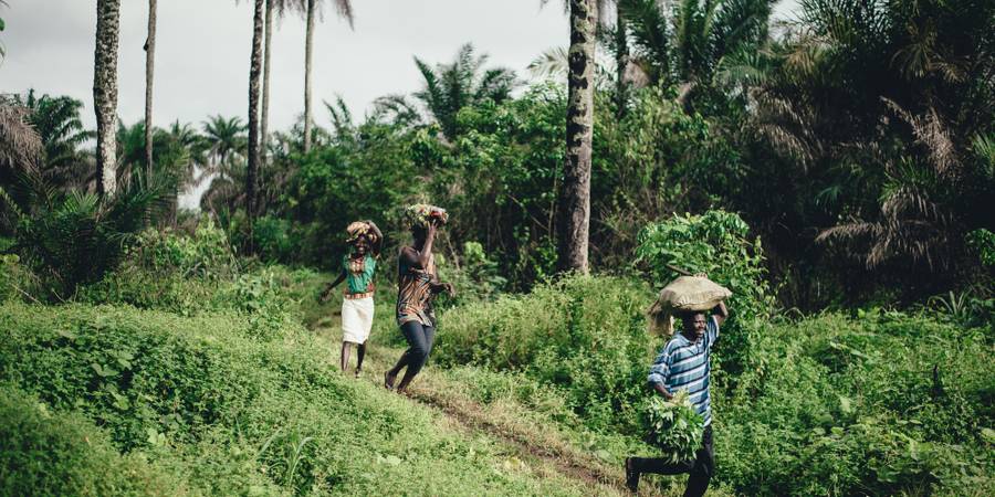 Encuentra la mejor eSIM para Sierra Leone