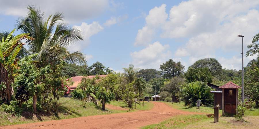 Trouvez la meilleure eSIM pour la Guyane française