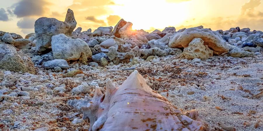 Trouvez la meilleure eSIM pour Saint-Vincent-et-les Grenadines