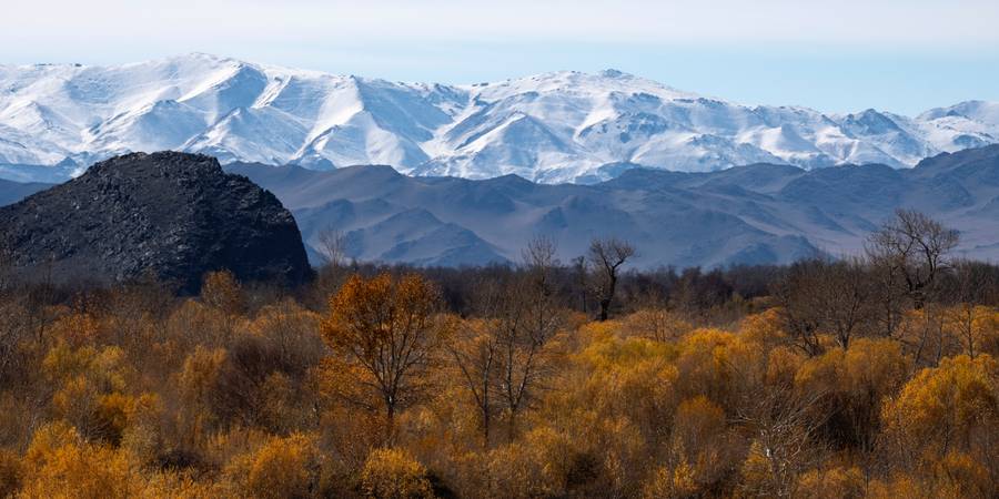 Trova la migliore eSIM per la Mongolia