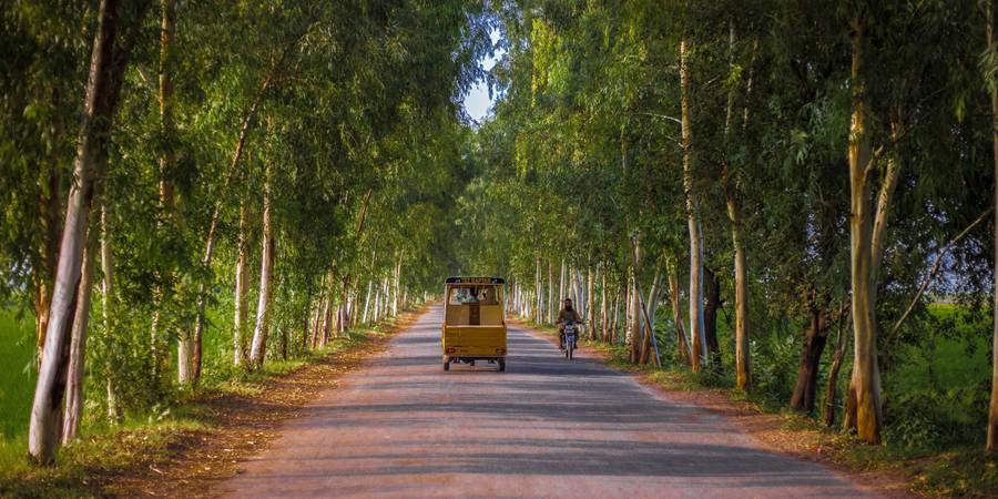 Trova la migliore eSIM per il Pakistan