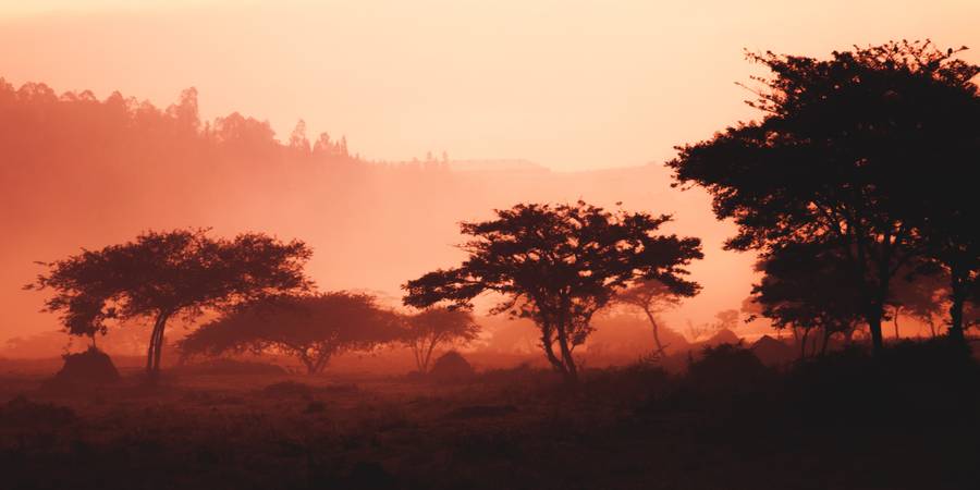 Trova la migliore eSIM per il Ruanda