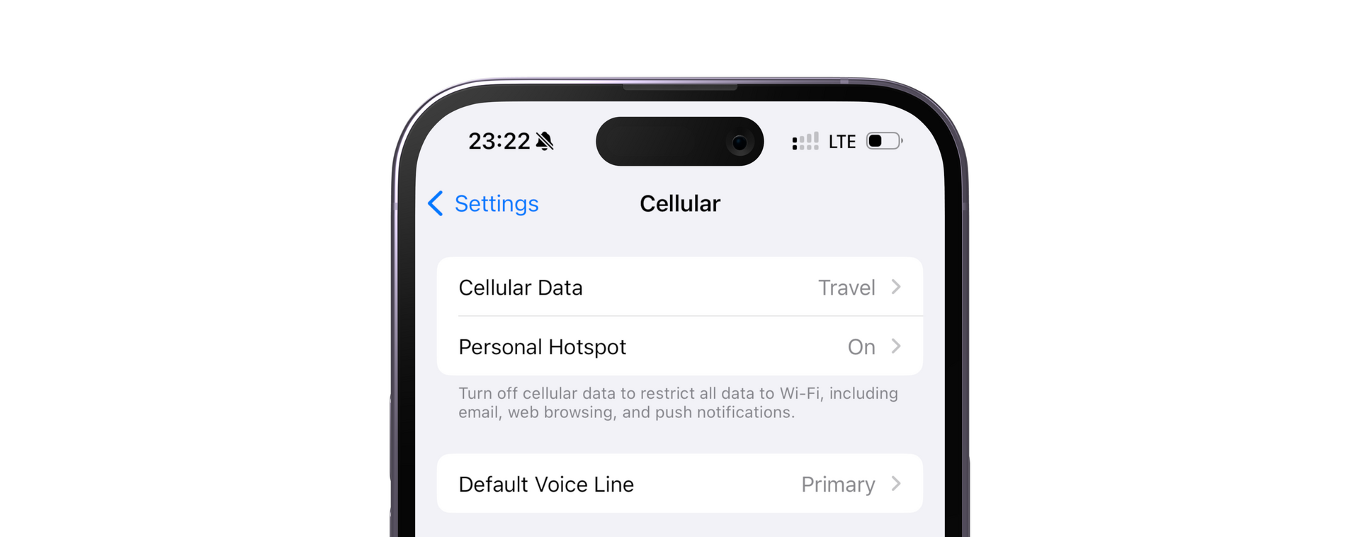 Travel eSIM Not Working? Here's How to Solve Common Issues [iPhone & Android]