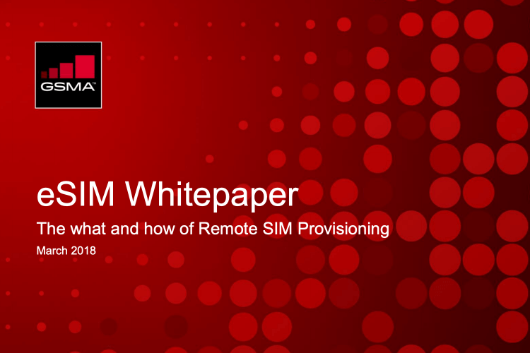 The Structure Behind the GSMA-conforming eSIM for Consumers